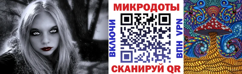 Галлюциногенные грибы Cubensis  Мончегорск 