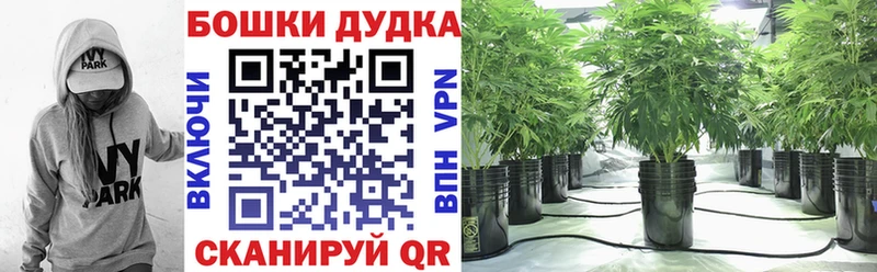 Каннабис VHQ даркнет сайт Мончегорск